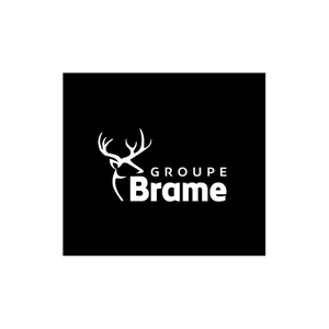Logo client référence Balier Services - 14